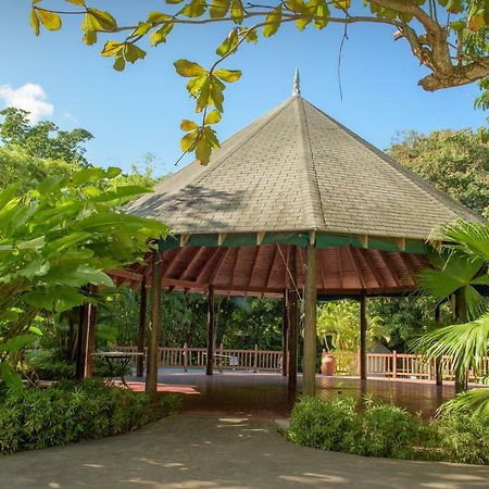 Tropical Escape Villa Ocho Rios Exterior photo